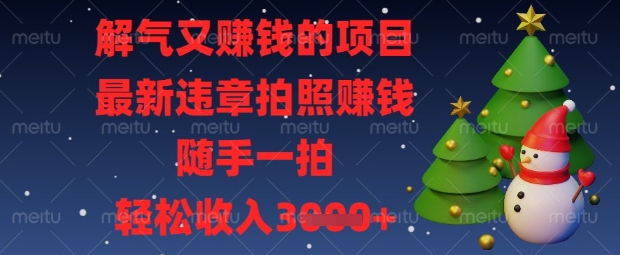 解氣又掙錢的項目，最新違章拍照掙錢，隨手一拍，輕松收入數張【揭秘】
