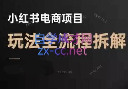 菲菲老師·小紅書電商玩法(更新9月)