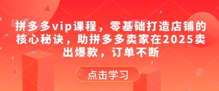 拼多多vip課程,零基礎打造店鋪的核心秘訣,助拼多多賣家在2025賣出爆款,訂單不斷