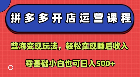 拼多多開店運營課程：藍海變現玩法，輕松實現睡后收入，零基礎小白也可日入5張