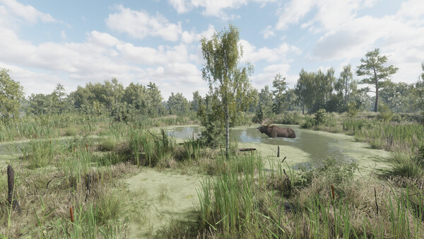 《獵捕行動/On the Hunt》PC中文版下載-含Build.20557498