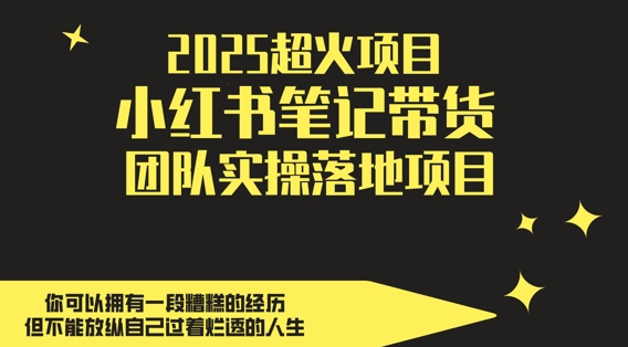 2025超火項目，副業最佳選擇，小紅書筆記帶貨團隊實操落地項目，，輕松日入5張