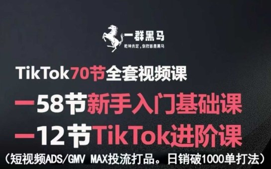 TikTok全套視頻課,新手入門+進階課,短視頻ADS-GMV MAX投流打品,日銷破1000單打法
