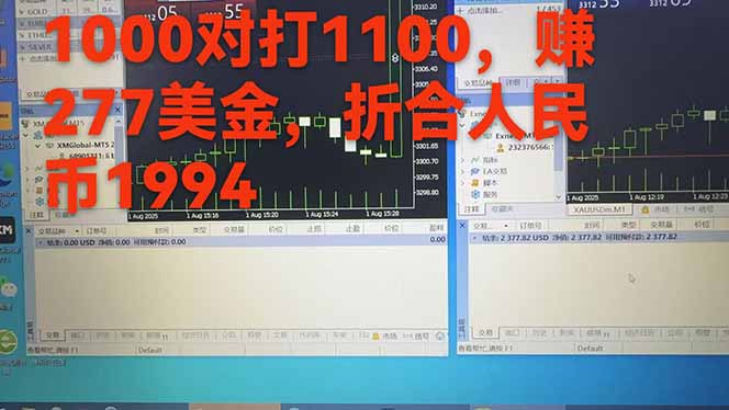 穩定8年的美刀搬磚項目，單人每日收益800—3000.團隊4人月入10W+.可線下