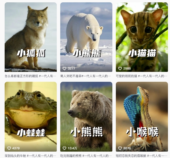 最新搞笑動物百科詳細解說課程，藍海賽道，流量非常大，輕松簽獨家進精選