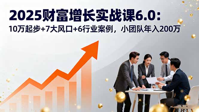 2025財富增長實戰(zhàn)課6.0：10萬起步+7大風口+6行業(yè)案例，小團隊年入200萬