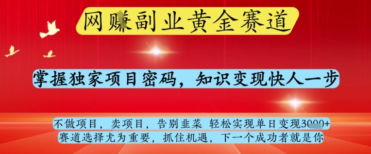網(wǎng)創(chuàng)副業(yè)黃全賽道,掌握獨家項目密碼,知識變現(xiàn)快人一步,告別韭菜輕松實現(xiàn)單日變現(xiàn)1k+【揭秘】