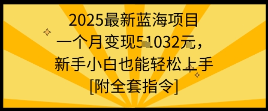 2025最新藍海項目一個月變現1w+新手小白也能輕松上手【附全套指令】