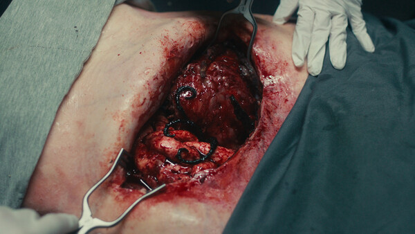 《死亡重啟/Dead Reset》PC中文版下載-含v1.0.4