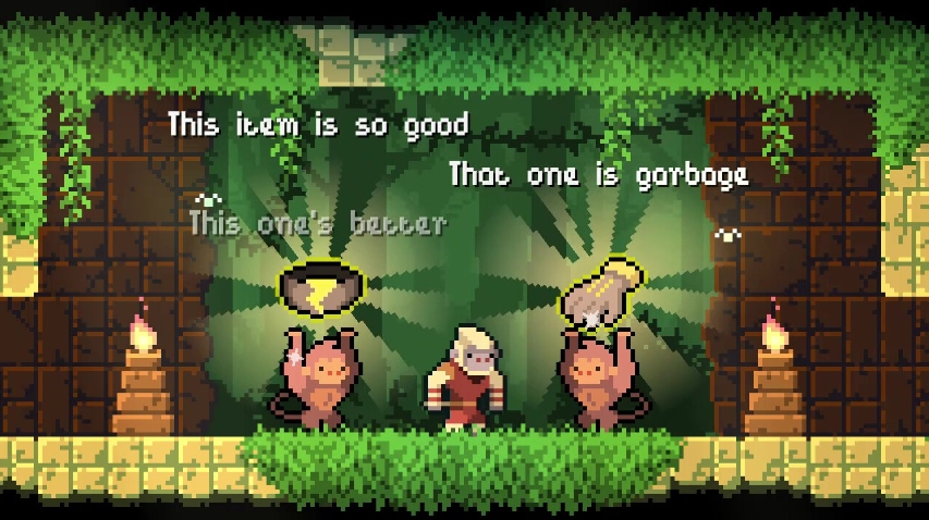 PC游戲《護(hù)林猿神 Dunjungle》中文+v1.0正式版