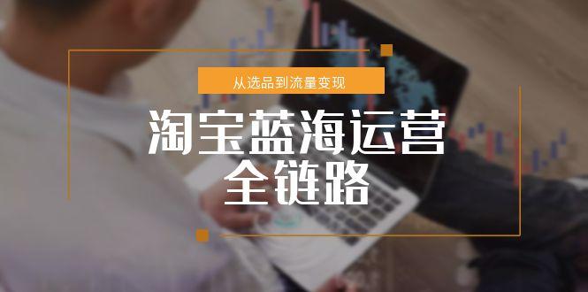 淘寶藍(lán)海運(yùn)營(yíng)全鏈路，從選品到流量變現(xiàn)，小類目突圍完整方案