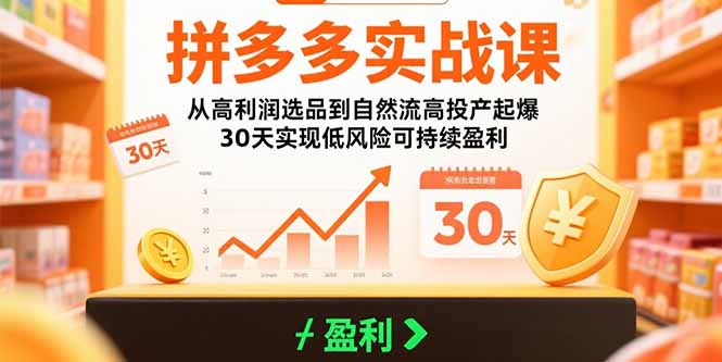 拼多多實戰課:從高利潤選品到自然流高投產起爆 30天實現低風險可持續盈利