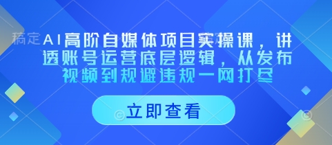 AI高階自媒體項目實操課，講透賬號運營底層邏輯，從發布視頻到規避違規一網打盡