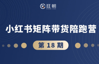盜坤·抖音小紅書視頻號短視頻帶貨與直播變現(11-18期)