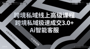 跨境私域線上高級課程,跨境私域極速成交3.0+Ai智能客服