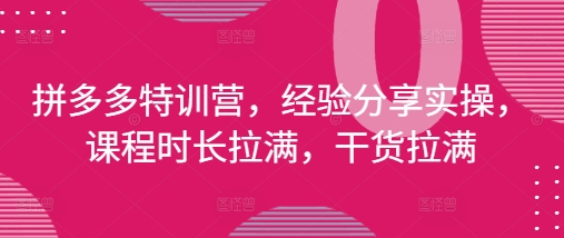 拼多多特訓營，經驗分享實操，課程時長拉滿，干貨拉滿(更新25年4月)