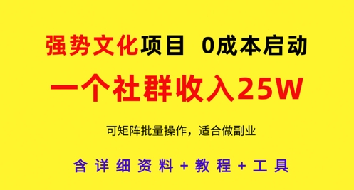 強勢文化項目，一個社群收入25個W，0成本啟動，可矩陣批量操作，原創詳細實操教程