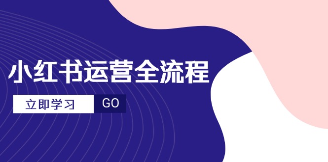 小紅書運營全流程,爆款選題文案,視頻制作技巧,進階達人寶典