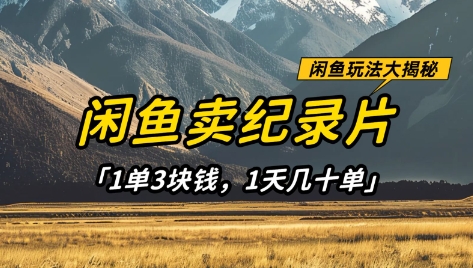 閑魚賣紀錄片1單3塊錢，1天幾十單，項目穩定有潛力