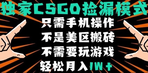 CSGO自動撿漏項目，最新獨家玩法，不是美區(qū)搬磚，不需要了解和玩游戲，新手小白輕松月入1W+【揭秘】