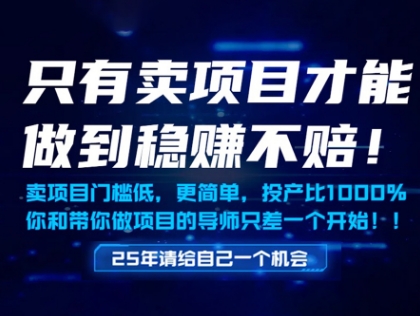 只有賣項(xiàng)目才能做到穩(wěn)掙不賠，門檻低，更簡(jiǎn)單，你也可以年入百個(gè)W【揭秘】