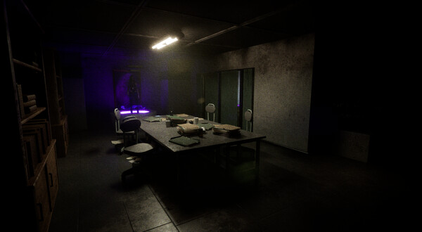 《紫羅蘭/Violet》PC中文版下載-含Build.20322970