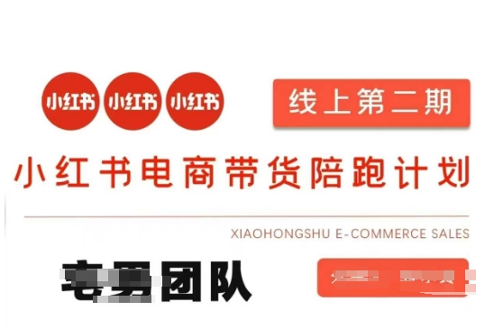 小紅書電商帶貨課2期，月利潤20個的小紅書電商的有貨源，無貨源，虛擬產品，付費投流等整套玩法