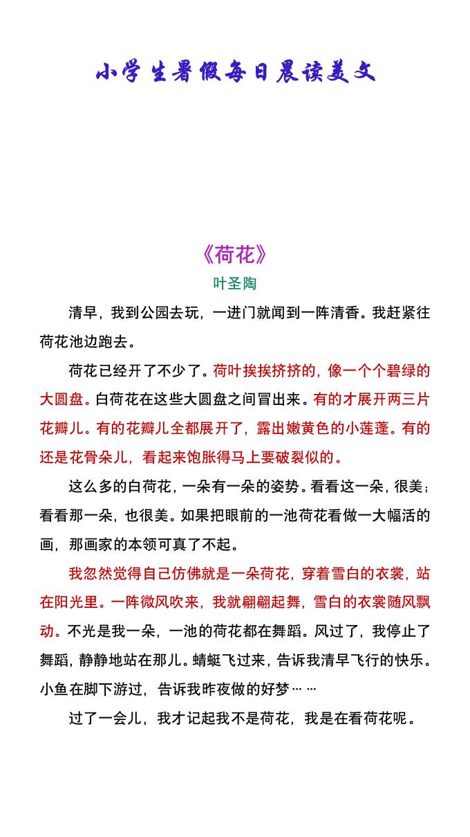 小學生暑假每日晨讀美文：葉圣陶《荷花》-小升初語文