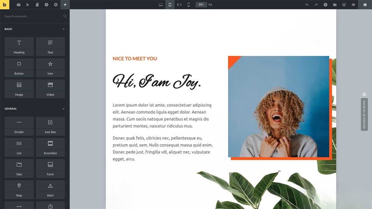 WordPress主題Bricks v1.9 破解版