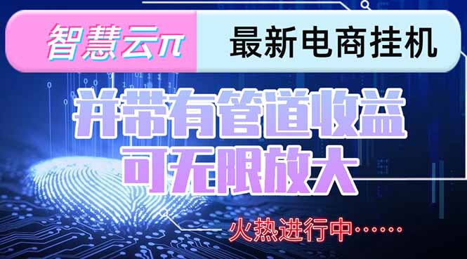 智慧云π電腦掛機單機每天收益300—500+ 并帶有團隊管道收益 可無限放大
