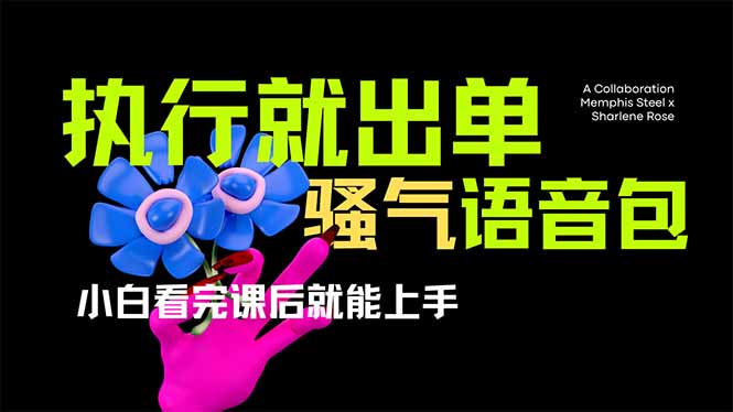 爆火全網的開車導航騷氣語音包,只要執行就出單，小白看完課程就能實操...