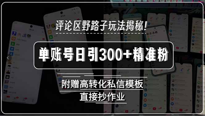 評論區野路子玩法揭秘!單賬號日引300+精準粉,附贈高轉化私信模板,直...