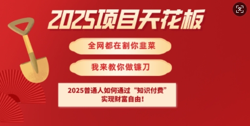 2025項目天花板普通人如何通過知識付費,實現財F自由【揭秘】
