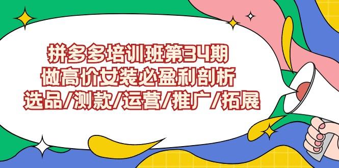 (9333期)拼多多培訓班第34期：做高價女裝必盈利剖析  選品/測款/運營/推廣/拓展