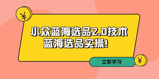 拼多多培訓第33期：小眾藍海選品2.0技術-藍海選品實操！