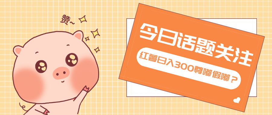 全新紅薯瀏覽，打破常規(guī) 雙端操作，每天運(yùn)行6小時(shí)，讓你獲得工作以外的…