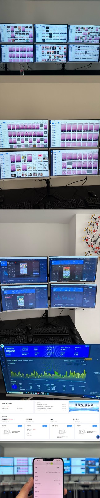 實操項目合集 掛機類型 直播類型 輕資產創業類型 課程分享各項目介紹和原理