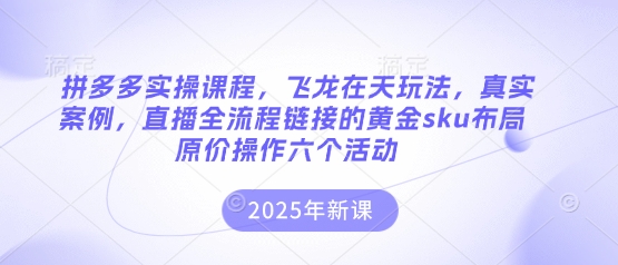 拼多多實操課程,飛龍在天玩法,真實案例,直播全流程鏈接的黃金sku布局原價操作六個活動
