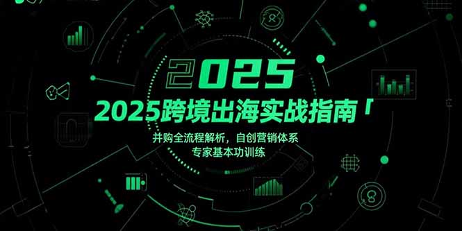 2025跨境出海實戰指南,并購全流程解析,自創營銷體系,專家基本功訓練