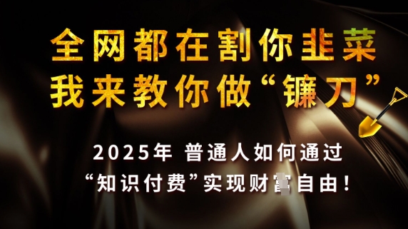 全網(wǎng)都在割你韭菜,我來教你做鐮刀,2025普通人如何通過知識(shí)付費(fèi),實(shí)現(xiàn)財(cái)F自由【揭秘】