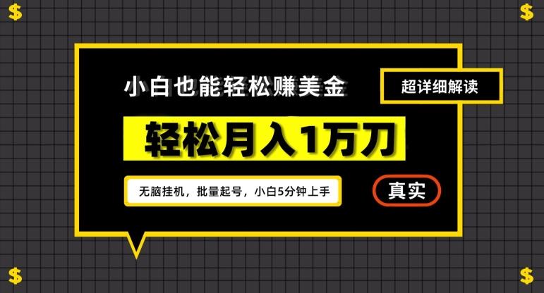 谷歌看廣告擼美金2.0,無腦掛機,多號操作,月入1萬刀【揭秘】