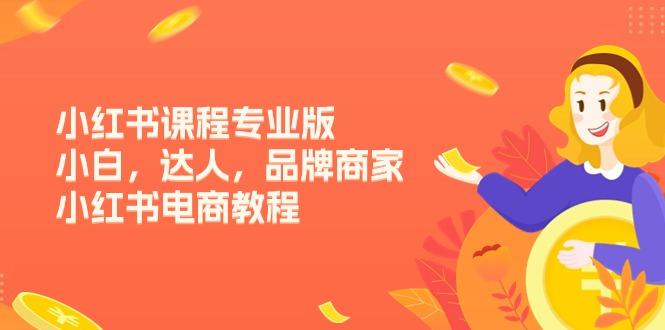 小紅書課程專業(yè)版,小白,達(dá)人,品牌商家,小紅書電商教程(15節(jié)