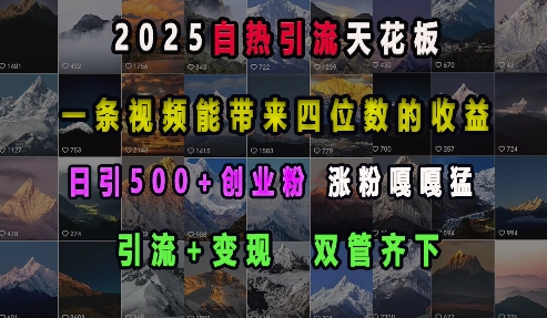 2025自熱引流天花板，一條視頻能帶來四位數的收益，引流+變現雙管齊下，日引500+創業粉，漲粉嘎嘎猛