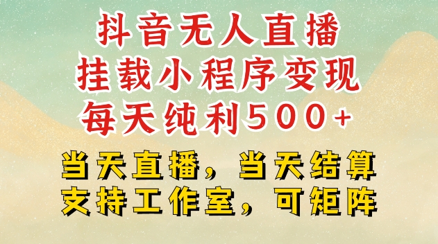 抖音無人直播掛載小程序變現每天純利500+當天直播,當天結算支持工作室,可矩陣【揭秘】