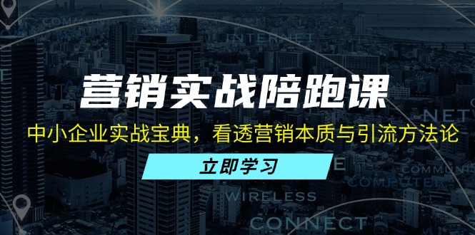 營銷實戰陪跑課:中小企業實戰寶典,看透營銷本質與引流方法論