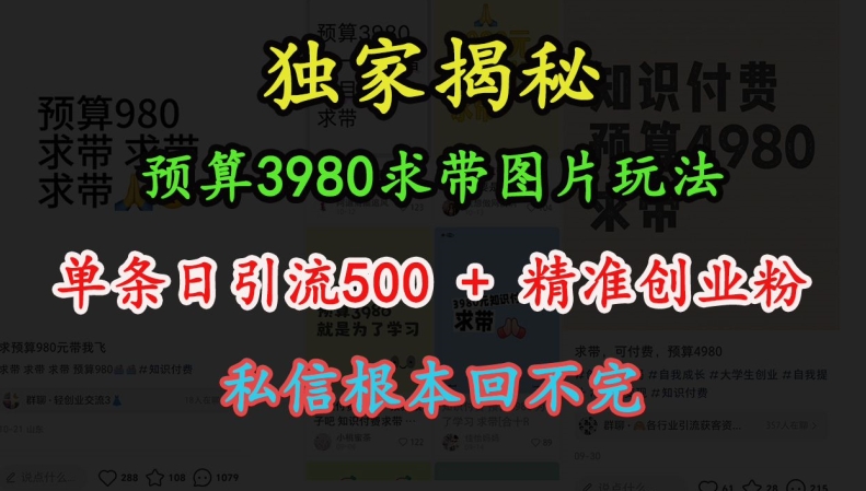 預算3980求帶 圖片玩法,單條日引流500+精準創業粉,私信根本回不完