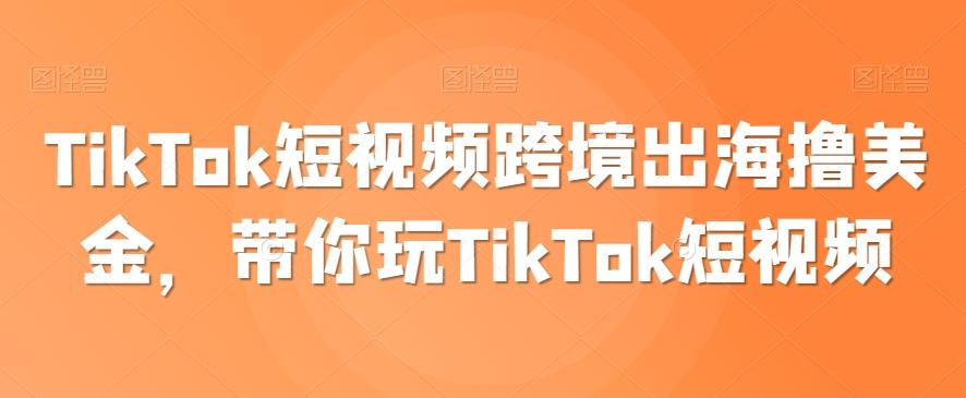 TikTok短視頻跨境出海擼美金,帶你玩TikTok短視頻