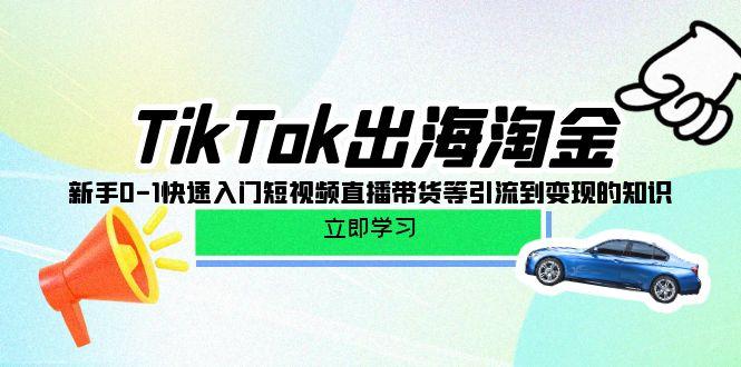 (10035期)TikTok-出海淘金，新手0-1快速入門短視頻直播帶貨等引流到變現的知識