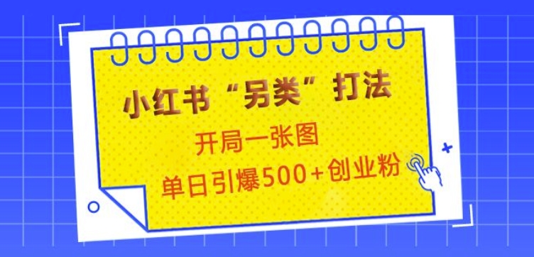 小紅書“另類”打法，開局一張圖，單日引爆500+精準(zhǔn)創(chuàng)業(yè)粉【揭秘】