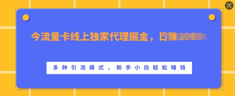 流量卡線上獨(dú)家代理掘金，日入1k+?，多種引流模式，新手小白輕松上手【揭秘】